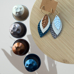 Boucles d'oreilles en...